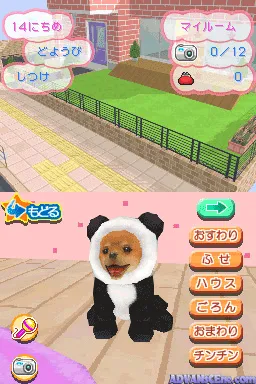 Snapshot
